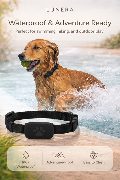Smart Track Collar