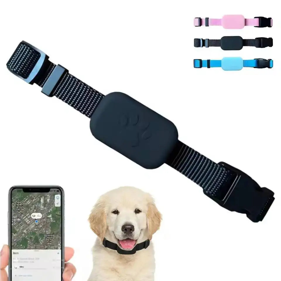 Smart Track Collar