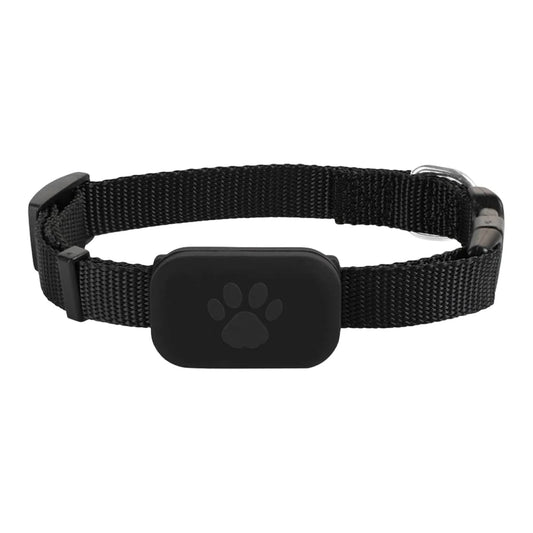 Smart Track Collar