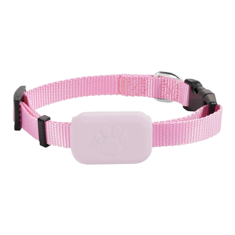 Smart Track Collar