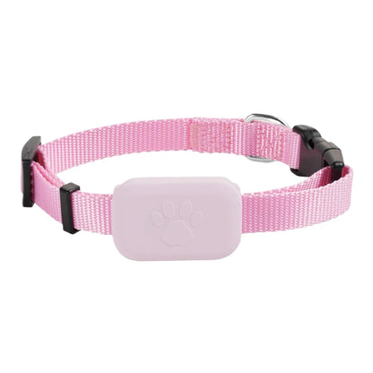 Smart Track Collar
