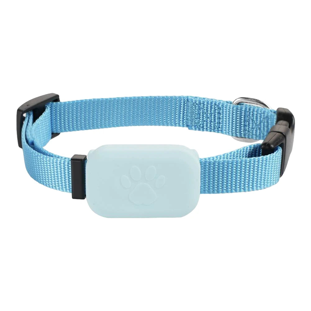 Smart Track Collar