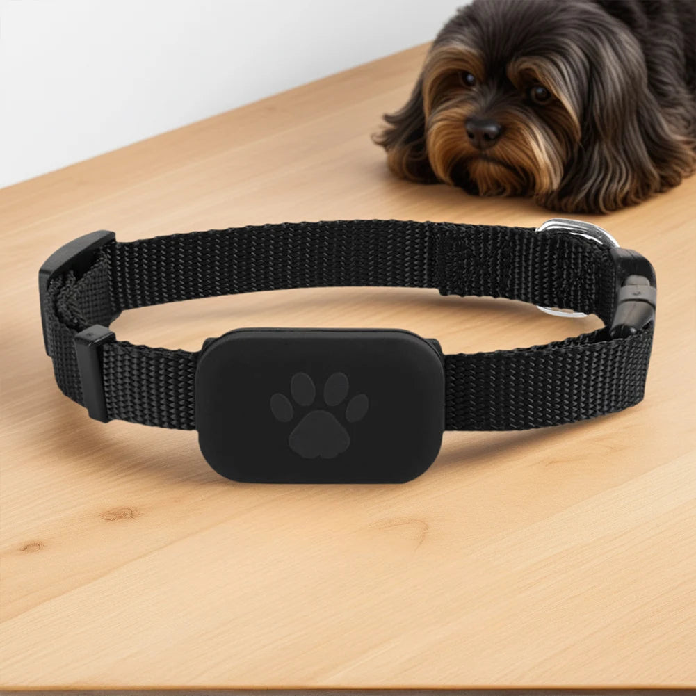 Smart Track Collar