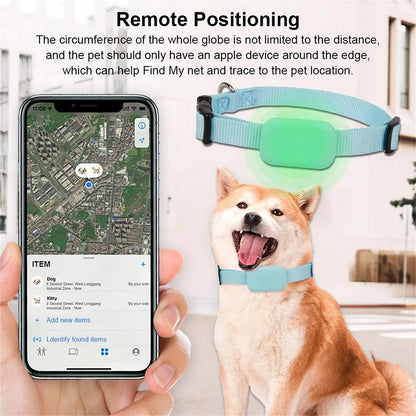 Smart Track Collar