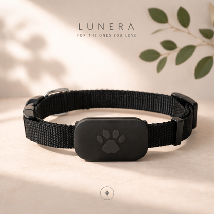 Smart Track Collar