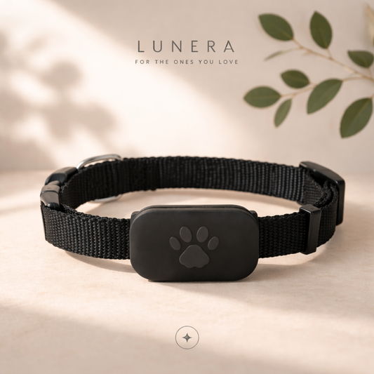 Smart Track Collar